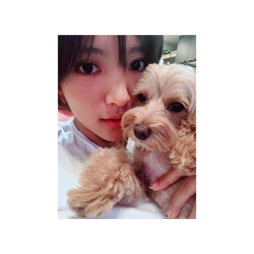 夏菜さんのインスタグラム写真 - (夏菜Instagram)「my love🐶 ただいまー💓」9月5日 23時55分 - natsuna_official