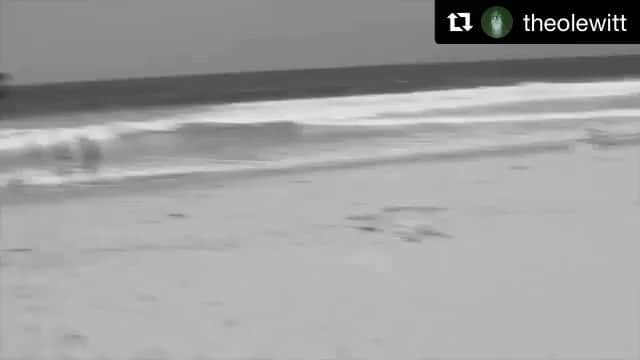 サキャスティックのインスタグラム：「My buddy @theolewitt made this fun clip. Featuring our wetsuits @fahrenheitcelsiuswetsuits & our other friends.  Spent a day pier-ratting with @beckadlerr and @duerrmanuerr for @_kid88_ 🤙 Added steeze courtesy of @fahrenheitcelsiuswetsuits」