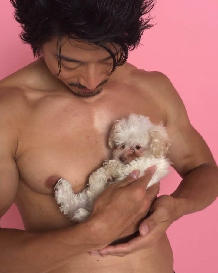 コアラ小嵐のインスタグラム：「コスモポリタン「恋したときの、リアルな「男心」【COSMO GUY vol.3】」がアップされました〜(^^) @cosmopolitanjapan  #コスモガイ #cosmoguy #コスモポリタン #cosmopolitan #こいぬ #子犬 #仔犬 #犬 #イヌ #dog #筋肉 #大胸筋 #マッチョ」