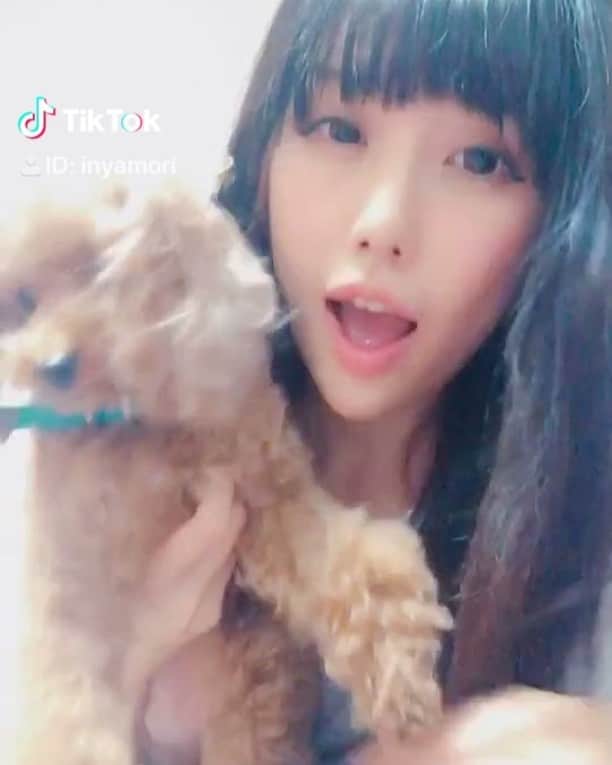 稲森美優のインスタグラム：「#好きって言って #好きっていって #てぃっくとっく ＃TikTok @tiktok_japan」