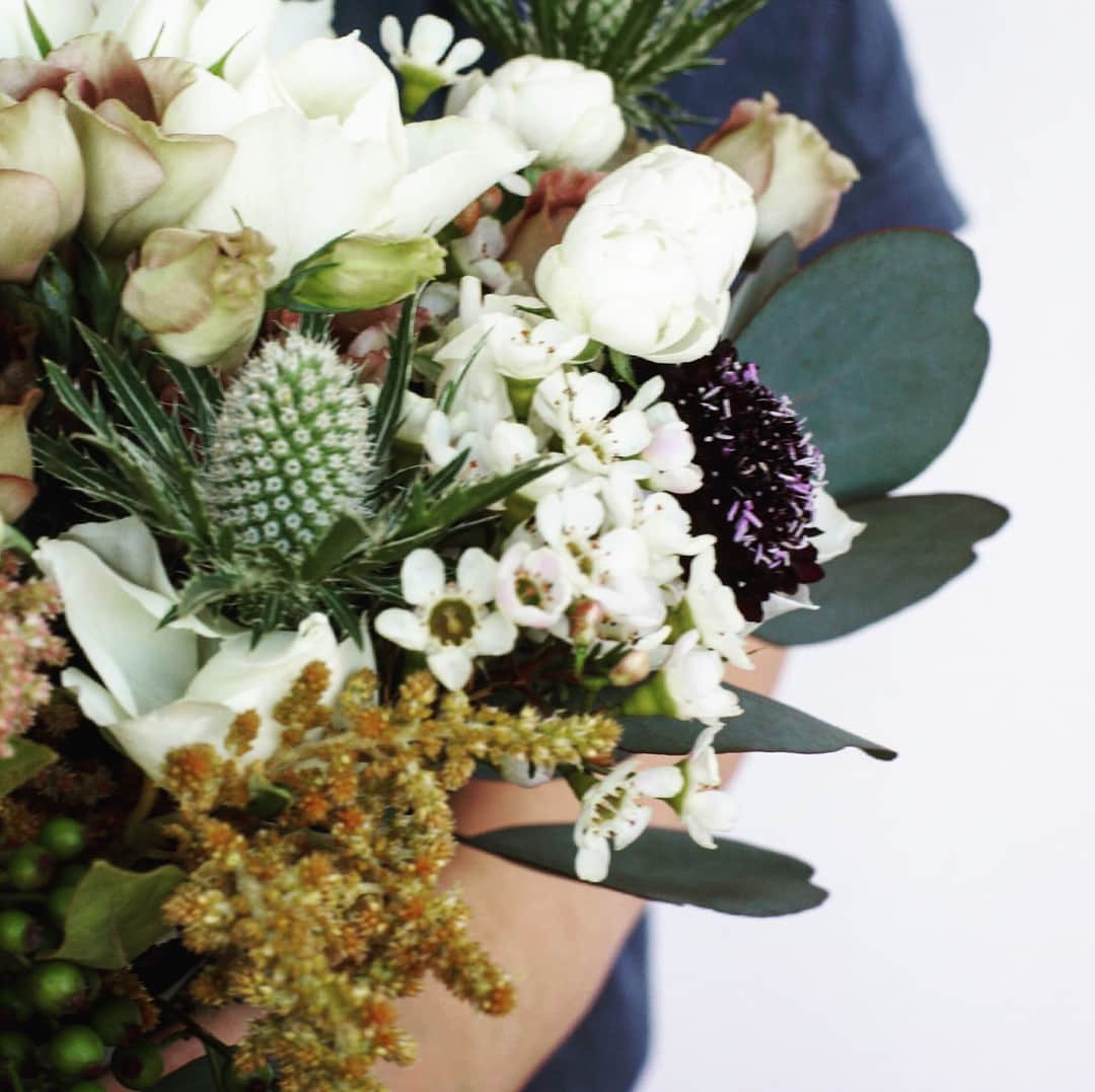 MILLE ECLAT.のグルメインスタ