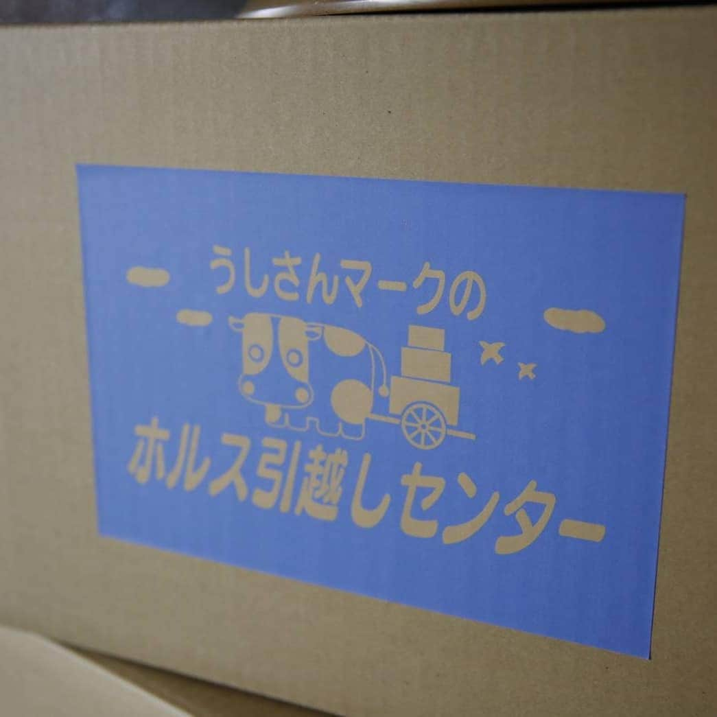 テレビ朝日「ヒモメン」さんのインスタグラム写真 - (テレビ朝日「ヒモメン」Instagram)「⠀ 【今夜11時15分！ヒモメン最終回‼️】⠀ ⠀ ゆり子、一体どうしたの⁉️⠀ ⠀ #宝物のミミズの王子様も段ボールに…😿⠀ #川口春奈⠀ #土曜ナイトドラマ⠀ #ヒモメン⠀ #第7話⠀ #9/8(土)よる23時15分～」9月8日 11時11分 - himotvasahi