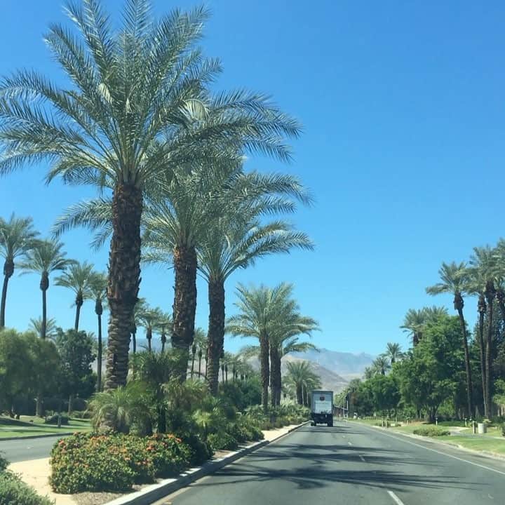 福島寿実子のインスタグラム：「Palm Springsに来てます🌴✨ LAから車で早いと2時間で別世界へ来れます🇺🇸 今回は大好きな2人のお仕事をお手伝いさせていただきました💗そして今日は大きな一生残るプレゼントいただきました😢🎁✨ 旅はまだまだ続きます🚙🌴 明日も楽しい一日でありますように❤️ @lazymarket_ayumi @renatotsu @daddysgirl_official  #californialife #palmsprings #trips」