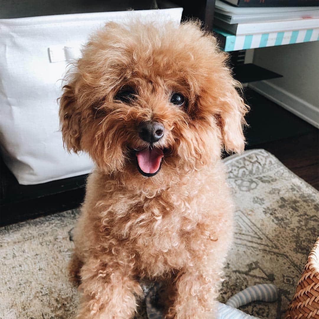Loganのインスタグラム：「My weekend face 😛」