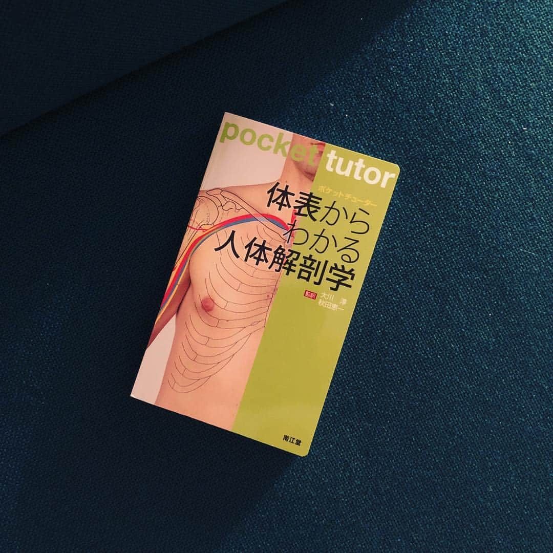 椎名直子さんのインスタグラム写真 - (椎名直子Instagram)「むむ。！ 面白いです🤩」9月9日 1時55分 - natadecoco