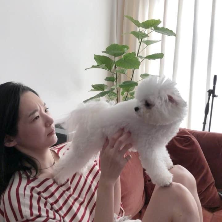 カン・ミンギョン のインスタグラム