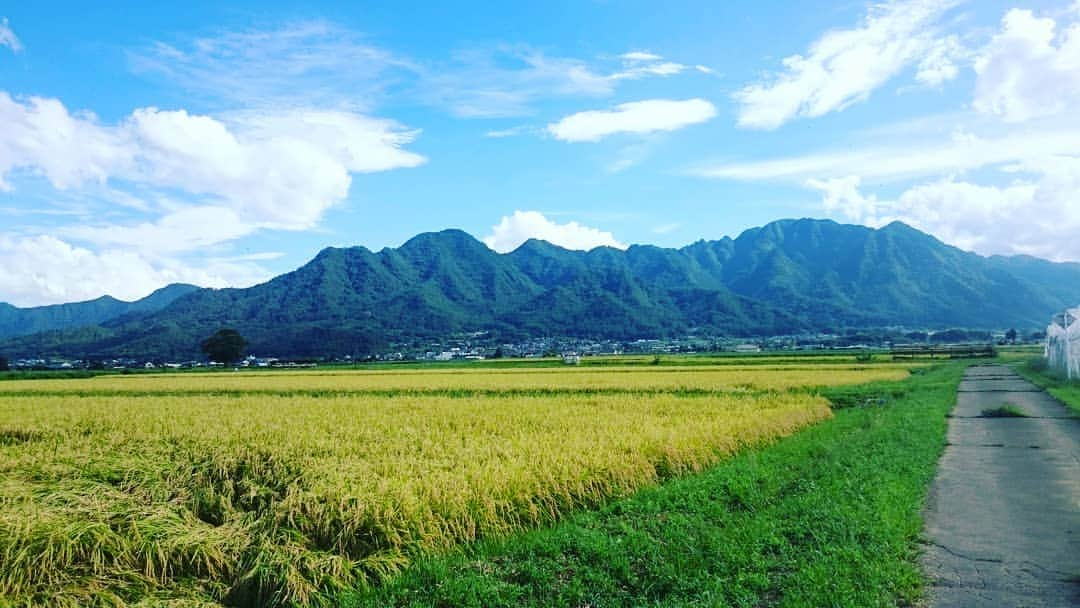 小出真保のインスタグラム