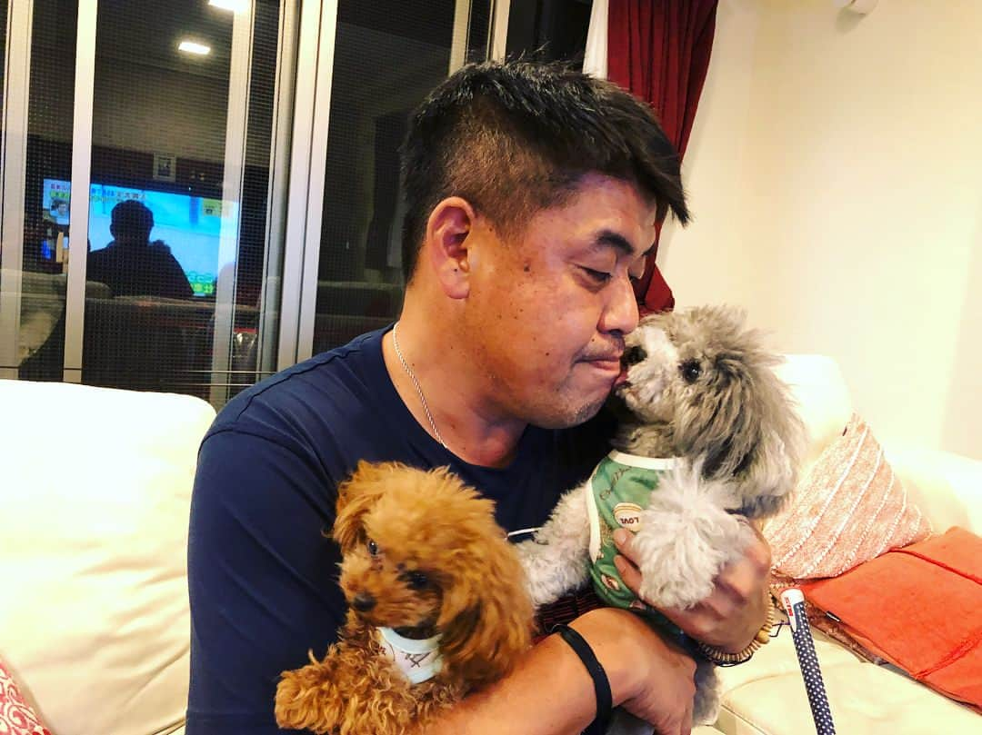 中村紀洋さんのインスタグラム写真 - (中村紀洋Instagram)「愛犬 モコとリア 我が家で唯一の男同士の モコには好かれてるけど 女の子 リアには なかなかの嫌がられ方、、、😫 #愛犬 #トイプードル  #ティーカッププードル  #中村紀洋 #中村ノリ  #ns_style＃ns＿method #エヌズメソッド」9月9日 20時02分 - nakamura_norihiro5