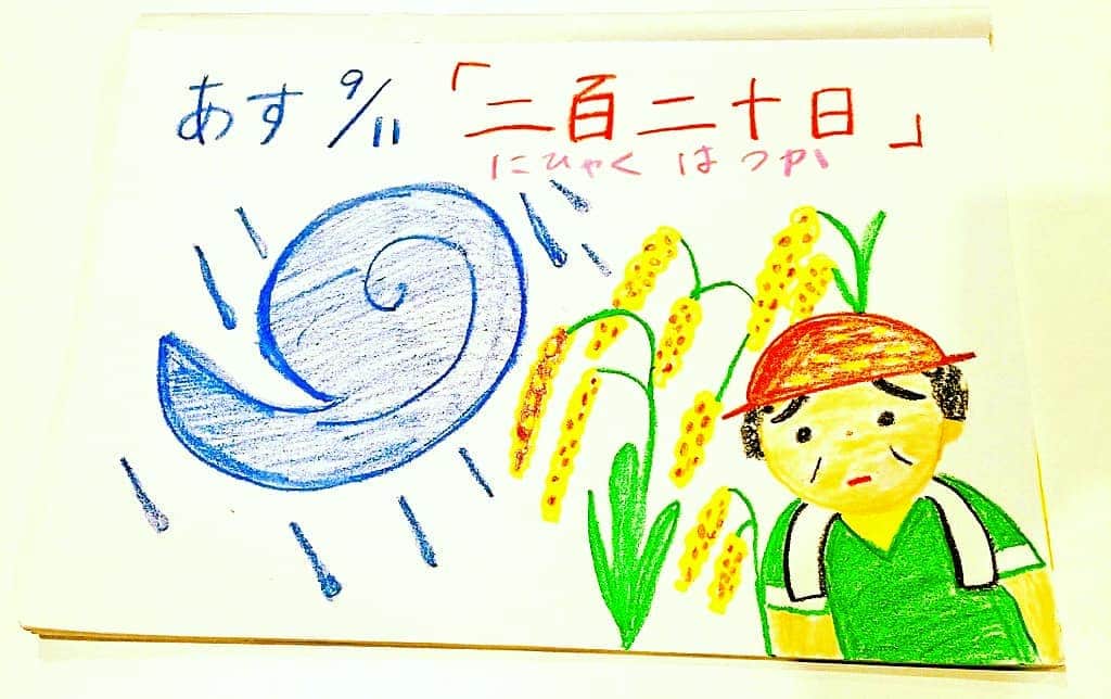 片山美紀さんのインスタグラム写真 - (片山美紀Instagram)「あすは「二百二十日(にひゃくはつか)」です。立春から数えて220日目。昔からこの時季は台風の被害を受けやすく、ちょうど稲が実ってくる頃なので農家にとっては油断できない日と言われてきました。 現在、台風２２号が日本の南に、本州には近づきませんが、台湾などへ向かう方は注意を。 #二百二十日 #天気#天気予報#お絵描き天気#気象予報士#秋#台風」9月10日 21時47分 - mikiktyma_otenkicooking