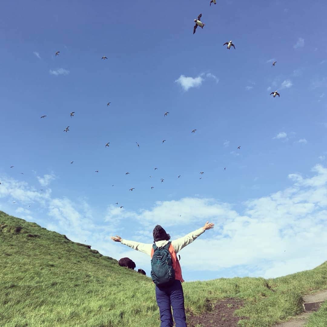 TBS「世界ふしぎ発見！」さんのインスタグラム写真 - (TBS「世界ふしぎ発見！」Instagram)「9 月15 日（土）夜9 時放送@tbs 北欧フェロー諸島に初上陸🇫🇴 海鳥の楽園で飛行訓練中のパフィンの大群を発見！ この鳥の驚きの結末が放送で明かされます…🐧🐧🐧 #世界ふしぎ発見 #ふしぎ発見 #フェロー諸島  #おいでよフェロー諸島 #faroeislands  #VisitFaroeIslands  #鉢嶺杏奈  #パフィン #Puffin #Mykines #平成最後の夏」9月10日 15時59分 - fushigi_hakkenad