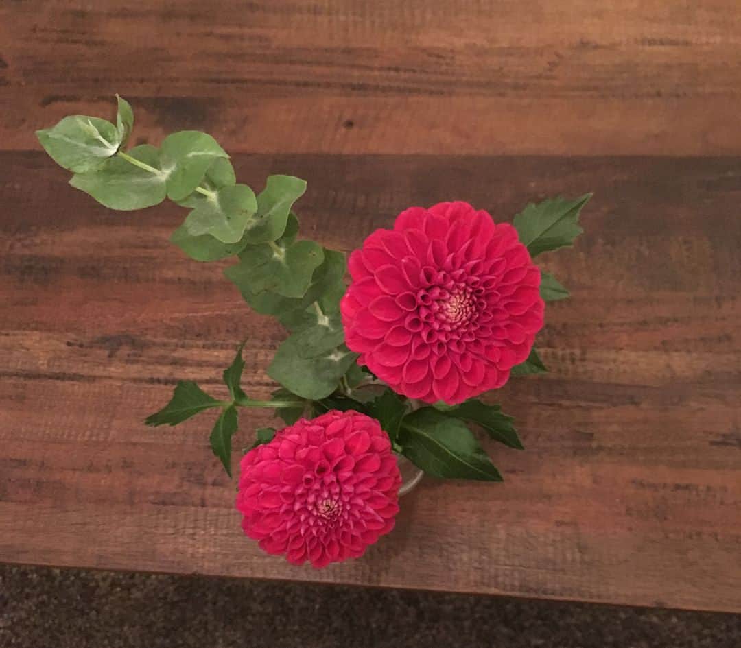 上野樹里さんのインスタグラム写真 - (上野樹里Instagram)「グッドドクター 、クランクアップにいただいた花束を、部屋中に飾ってます💐😄㊗️ 最終回は、あと2日後だから、監督達にエールを送ります。がんばってね〜😆🙌 おやすみなさい🌙😴💤⭐ #グッドドクター」9月11日 0時13分 - _juri_art_