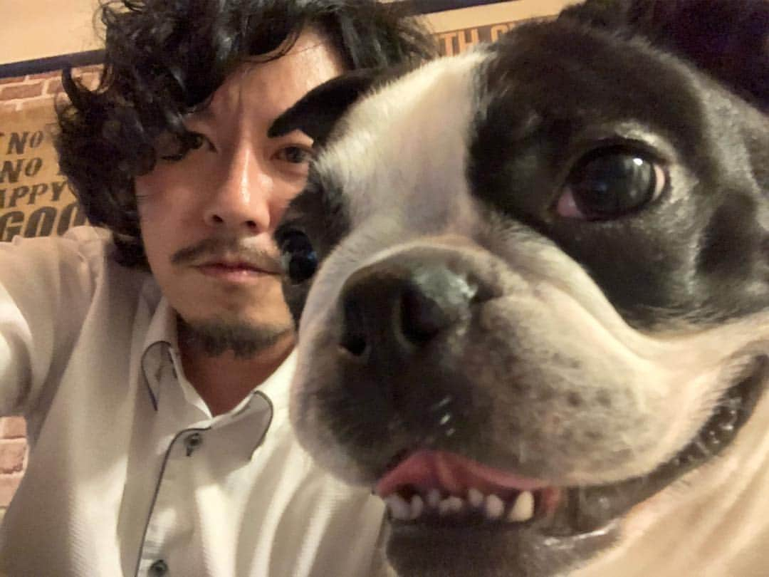 マツモトクラブさんのインスタグラム写真 - (マツモトクラブInstagram)「#犬とおじさん #マツモトクラブ  #マー坊 #ボストンテリア  #♂」9月11日 16時21分 - matsumotoinstaclub