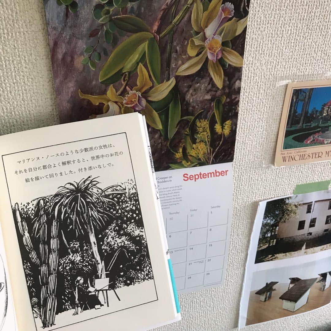 松田青子さんのインスタグラム写真 - (松田青子Instagram)「9月。今年は去年キューガーデンで買った、『問題だらけの女性たち』にも出てくるマリアンヌ・ノースのカレンダー。」9月11日 10時31分 - matsudaoko