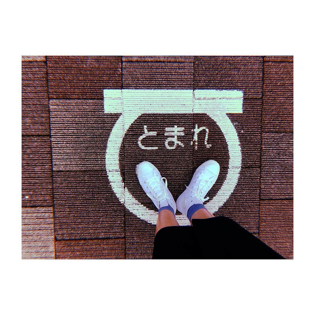 松井玲奈さんのインスタグラム写真 - (松井玲奈Instagram)「#CONVERSE」9月11日 11時59分 - renamatui27