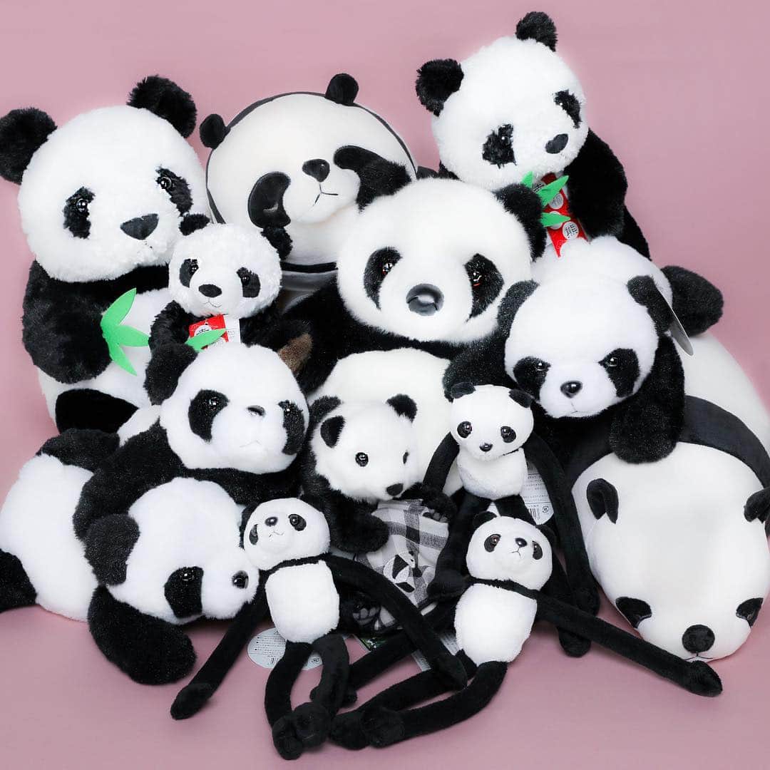 アトレ上野（atre ueno）さんのインスタグラム写真 - (アトレ上野（atre ueno）Instagram)「グラフィア・ブルーブルーエ・バースデーバー・シャンドエルブからパンダのぬいぐるみ大集合〜！！🐼 ぼくはどこにいるかわかるかな？💕 色々な表情や触り心地があるので、お気に入りのパンダを見つけてたくさん可愛がってね🐾🌿 ・ A massive gathering of panda plushies from GRAPHIA, Bleu Bleuet, BIRTHDAY BAR, and Champ de Herbe!!! 🐼 It’s so nice to see everyone together! We may have different expressions but we are all fluffy! 🐾🌿 P.S. Can you spot me? 💕 ・ 今天是GRAPHIA，Bleu Bleuet，BIRTHDAY BAR和Champ de Herbe的熊貓聚會！！🐼 久久一次的聚會能看見大家真好！雖然我們的長相和表情都不同，但是都同樣的毛絨絨哦！🐾🌿 猜一猜我躲在哪里 💕 ・ ・ ・ ・ #上野 #アトレ上野 #アトレ #atre #atreueno #パンダ #上野パンダ #上野散策 #熊猫 #東京觀光 #PANDA #🐼 #japan_of_insta #ueno #tokyotour #ぬい撮り #シャンシャン #香香 #上野観光 #ぬいぐるみ #パンダぬいぐるみ #uenostation #uenopark #パンダグッズ #パンダ好き #パンダマニア #pandamania #pandastuff #pandalover #上野駅」9月11日 14時39分 - atre.ueno