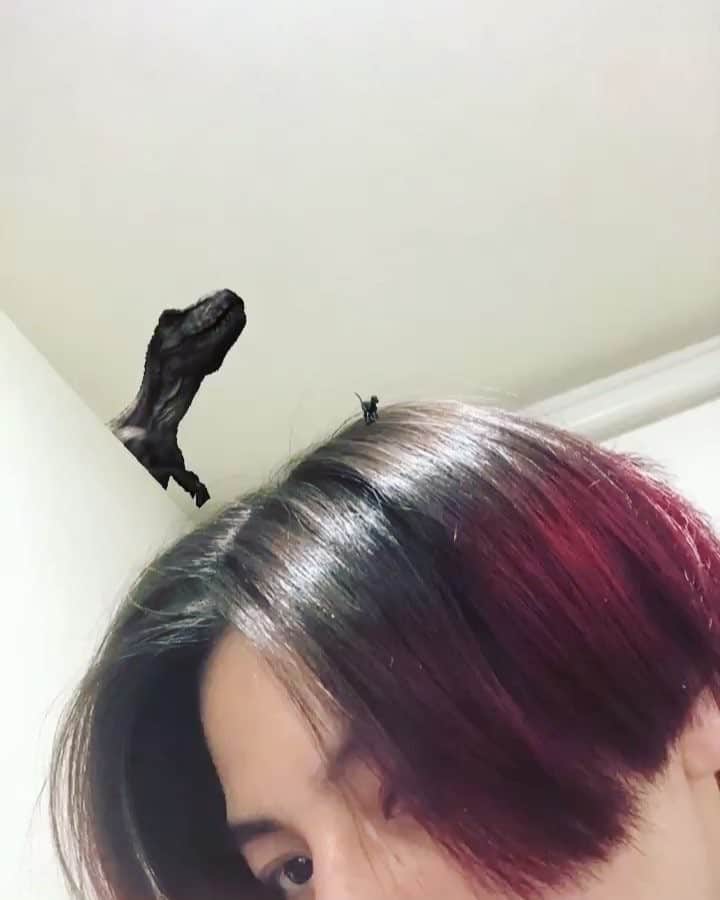 REO のインスタグラム