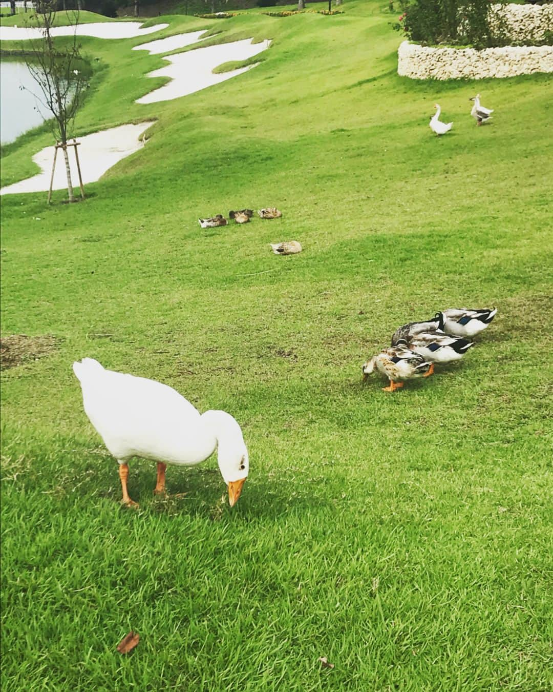 藤咲えりのインスタグラム