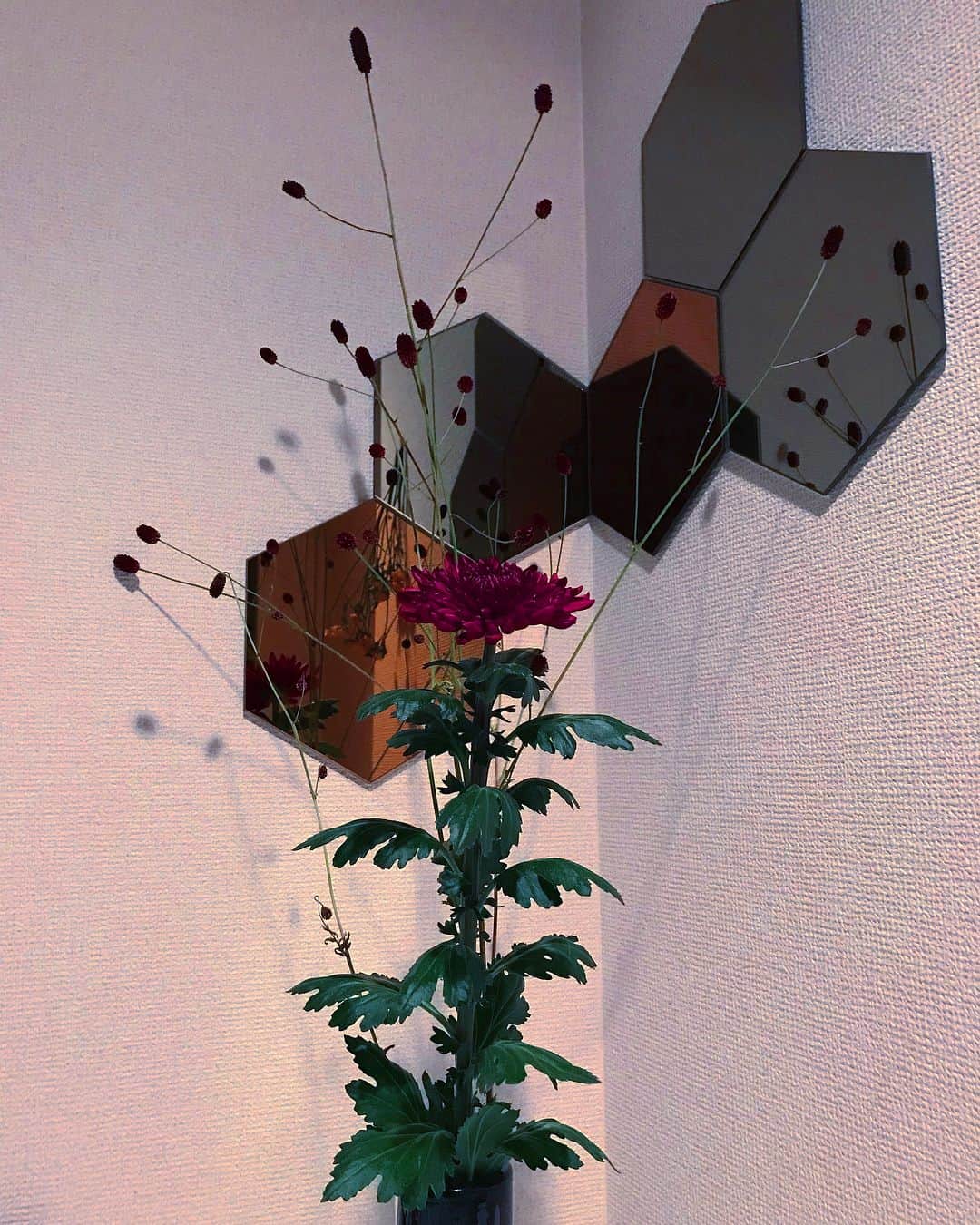 大原海輝さんのインスタグラム写真 - (大原海輝Instagram)「切って折ってサイズを考える。最近の趣味。🌹」9月11日 22時56分 - umichan1015