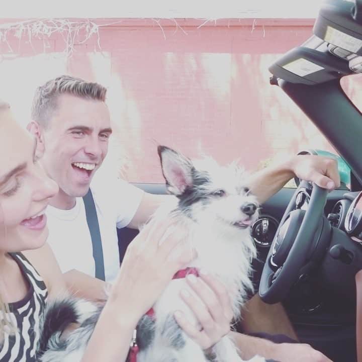プランシングレパードオーガニクスのインスタグラム