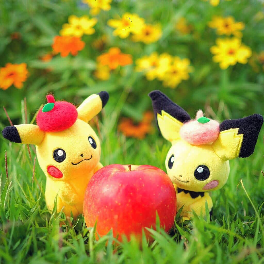 ピカチュウ公式Instagramさんのインスタグラム写真 - (ピカチュウ公式InstagramInstagram)「【今日のピカチュウ】 ピカチュウとピチューはリンゴを見つけたみたい🍎✨👀 ふたりのベレー帽にもそっくり……🧢⁉️ #pikachu #pichu #pokemon #pikachu_snap #photooftheday #autumn #beret #cap #apple #harvest #flower #flowers #ピカチュウ #ピチュー #ポケモン #秋 #ベレー帽 #帽子 #りんご #花」9月12日 18時03分 - pokemon_jpn