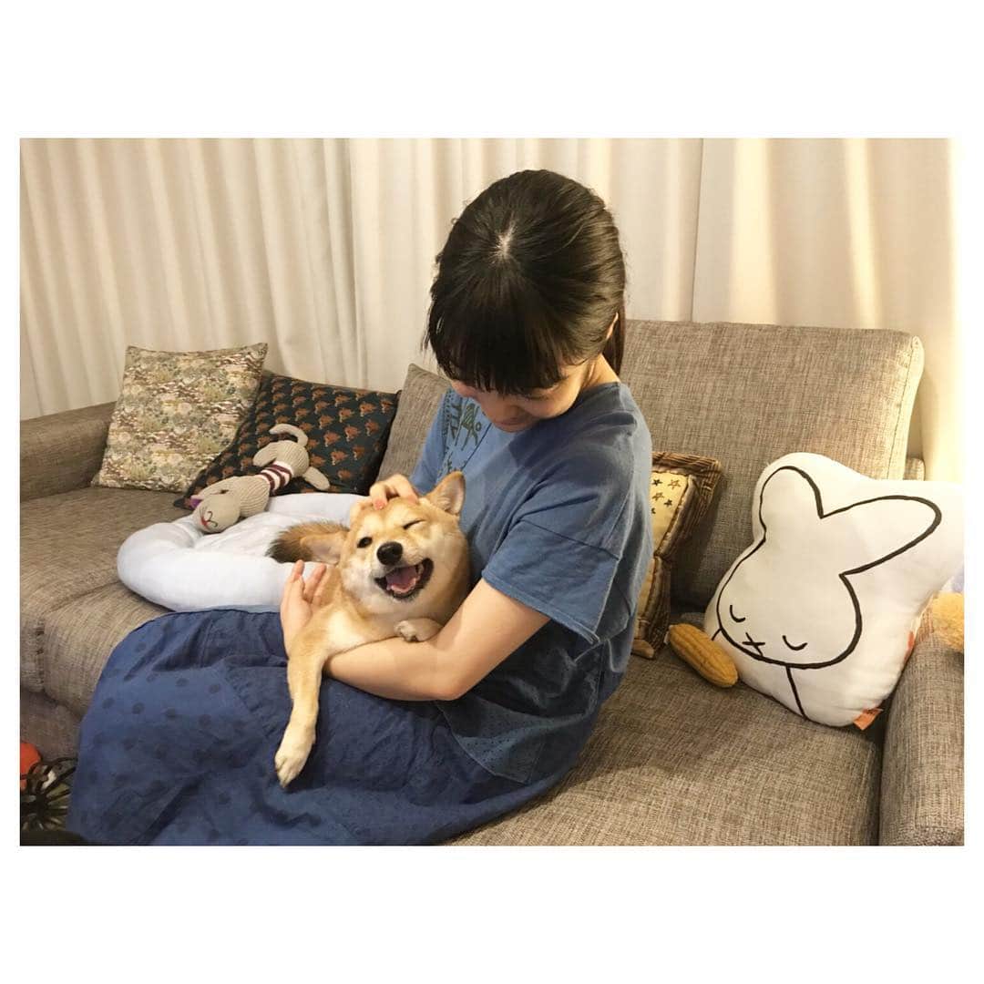 上白石萌音さんのインスタグラム写真 - (上白石萌音Instagram)「豆柴ちびすけが懐くまで🐾 マネージャーさんの愛犬、物凄く人見知りされたのに最後は全体重を預けてきてぽわーっとしてた。天使。」9月13日 16時06分 - mone_kamishiraishi