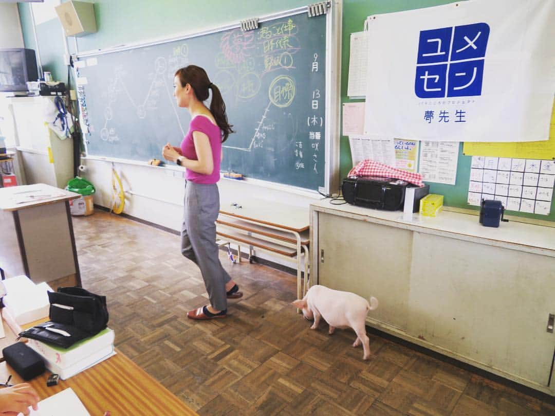 湯田友美さんのインスタグラム写真 - (湯田友美Instagram)「夢の教室@長野県千曲市 まさかの、教室でミニブタを飼ってました‼︎🐖 嬉し過ぎて頭が真っ白に😂授業中ずっと自由に歩き回り、んぶっんぶっと鳴いてた😆ブタと遊びたい気持ちをおさえ、授業を進めることに必死でした😂 今日もたくさん笑って、学んで、遊びました。笑 毎回、同じ授業がないから、何度やっても楽しい！ ステキな学校だったなぁ。このクラスに転校したい！ 来月おばすてマラソン＠千曲市でまたこども達とも再会できます🤗楽しみ❤️ 〆切9月19日までです😉 ・ Today I went to elementary school as dream project by JFA⚽️I was so surprised cause there was a piglet in the room🤣It was walking and grunting during my class😂I was laughing so hard with children. It was great time...❤️ Thank you so much. ・ #夢の教室 #ユメセン  #JFA #日本サッカー協会 #長野 #千曲 #小学校 #ミニブタ #大吉くん #授業中にお漏らし 🤣 #大爆笑 #piglet #🐖」9月13日 17時13分 - yudatomomi