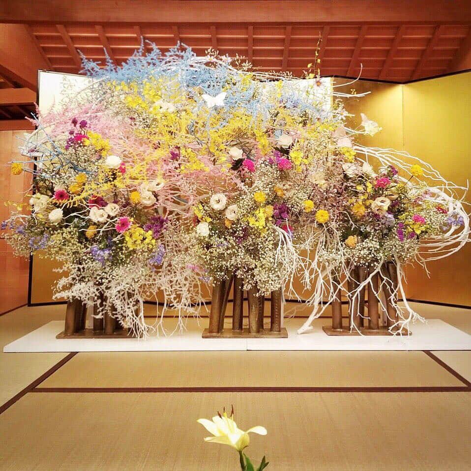 日本テレビ「高嶺の花」さんのインスタグラム写真 - (日本テレビ「高嶺の花」Instagram)「‪『#高嶺の花』主演 #石原さとみ さんの公式LINEのメッセージを紹介させて頂きます！‬ ‪月島ももを演じてくれて、本当に本当にありがとうございました…！‬ ‪一緒にお仕事できて幸せでした！‬」9月13日 17時57分 - takanehana_ntv