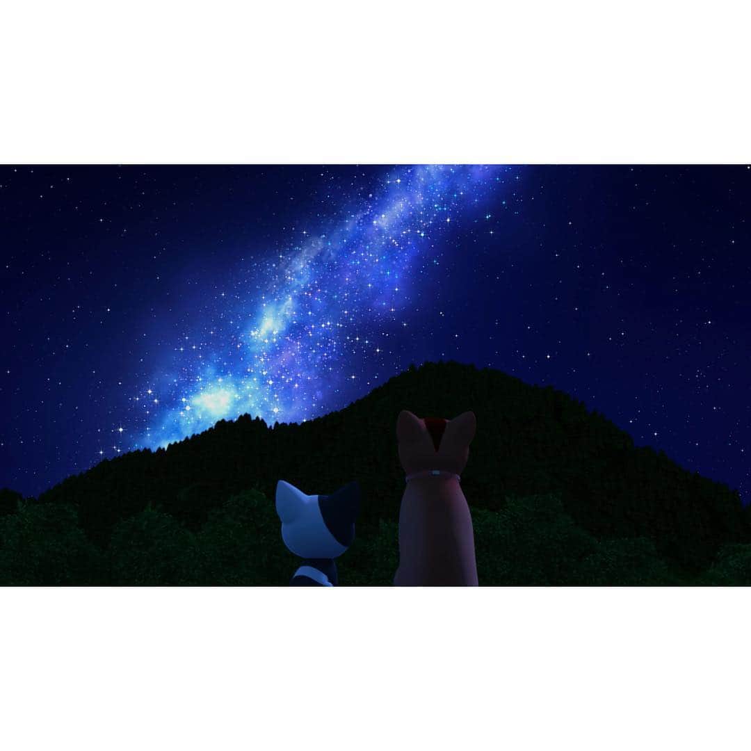 Chi さんのインスタグラム写真 - (Chi Instagram)「【まめチーしき２２】  ヨウヘイです！ コッチとディプロがきれいな星空をみてるね。ねこは夜おきててねむくないのかな？　チーはいつもねてるけど…。 しらべたら、ねこはえもののねずみや鳥をとるために夕がたと明けがたにかつどうするんだって。よなかはねてるみたい。しらなかった！」9月14日 18時07分 - chi.ssweethome