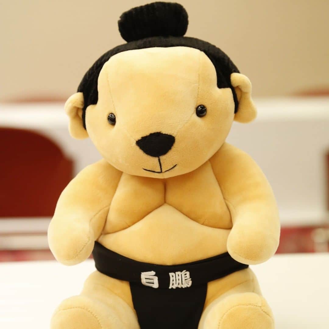 日本相撲協会さんのインスタグラム写真 - (日本相撲協会Instagram)「新商品の紹介！ 白鵬テディベア （大）6000円、（小）1500円 #sumo #相撲 #大相撲 #九月場所 #国技館 #白鵬 #横綱 #テディベア #teddy bear #bear」9月14日 18時04分 - sumokyokai