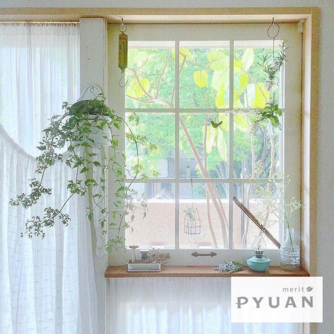 PYUAN_official_jpさんのインスタグラム写真 - (PYUAN_official_jpInstagram)「Photo by【@miyuki_petitapetit】 ・ 窓越しに聞こえる小鳥のさえずりが1日の始まりの合図♥ ・ 私の毎日を楽しくしてくれる窓際のインテリアには ちょっとしたこだわりを♪ ・ 今日はどんな日になるのかな♡ ・ #PYUAN #ピュアン #シャンプー #クレンズライフ #クレンズライフはじめました #コンディショナー #ナチュラルスタイル	#クレンズ #バスタイム #ナチュラルインテリア #パケ買い #リピ買い #愛用シャンプー #マイルーム #グリーンのある暮らし #リラックスタイム #観葉植物のある暮らし #インテリア雑貨 #休日の過ごし方 #リビングインテリア #おうち時間 #ひとり暮らし #花のある暮らし #シンプルインテリア #朝の風景 #贅沢な時間 #happy #love  #shampoo #haircare」9月14日 18時44分 - pyuan_official_jp