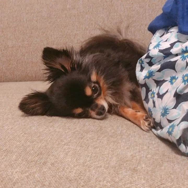 梅田悠のインスタグラム