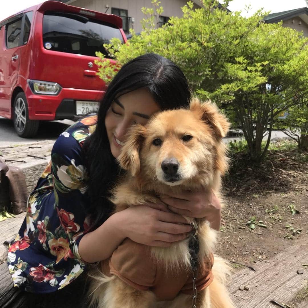 筒井菜月のインスタグラム：「施設で暮らしていた頃、ずっと支えてくれたももちゃん🐶  泣いていた時もずっと寄りそってくれたよね。本当にありがとう❣️ #愛犬」