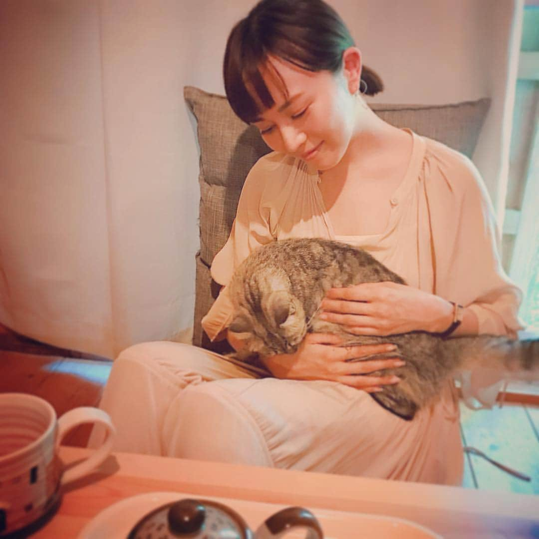 比嘉愛未さんのインスタグラム写真 - (比嘉愛未Instagram)「ほっこり☕️🐈💕 #久高島のガミちゃん #季節が変わったね」9月15日 9時49分 - higa_manami