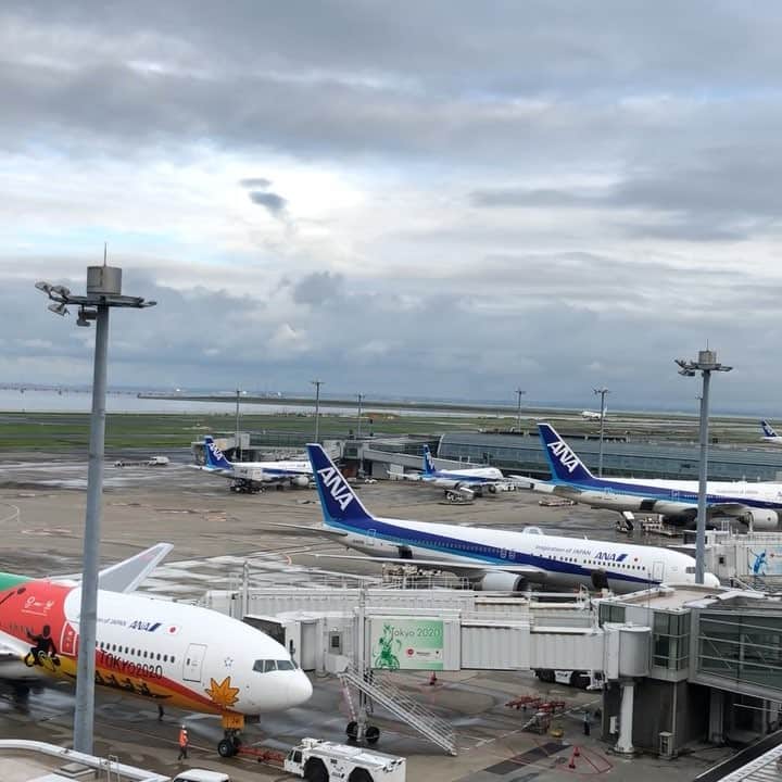 まゆみのインスタグラム：「🛫 あーあ  #飛行機 #羽田 #😓」