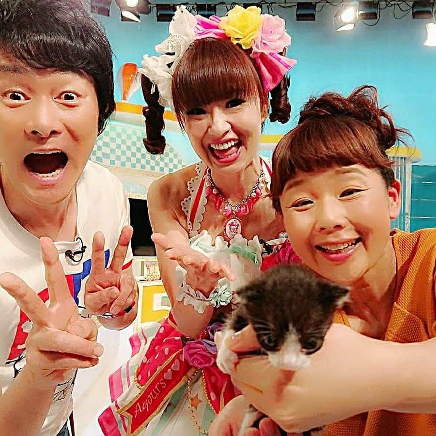 さゆりさんのインスタグラム写真 - (さゆりInstagram)「先日✨広島ホームテレビ『みみよりライブ5up』の商店街ロケしてる時💖偶然出逢った保護猫ちゃん💕🤣💕 #そのままロケ先を替えてもらって🎵 #保護施設 されてる #星のうさぎ さんに〰️💨 #広島は今 災害もあって動物達も大変です❗ #たった10秒違ったらきっと出逢えなかった奇跡の出逢い✨🤗✨ #我が家の子になりましたぁ〰️🌼🤗🌼 #『星のうさぎ』 さんから名前頂いて #うさぎ に導かれたと言う事で🎵 #名前 は #アリス です〰️🌈😂🌈 #かつみ❤️さゆり #かつみさゆり #❤️さゆり  #吉本坂46  #吉本坂 #広島ホームテレビ  #みみよりライブ5up #松本裕見子 さん  #西田篤史 さん #さゆり  #保護猫」9月16日 0時01分 - katsumisayuri_sayuri