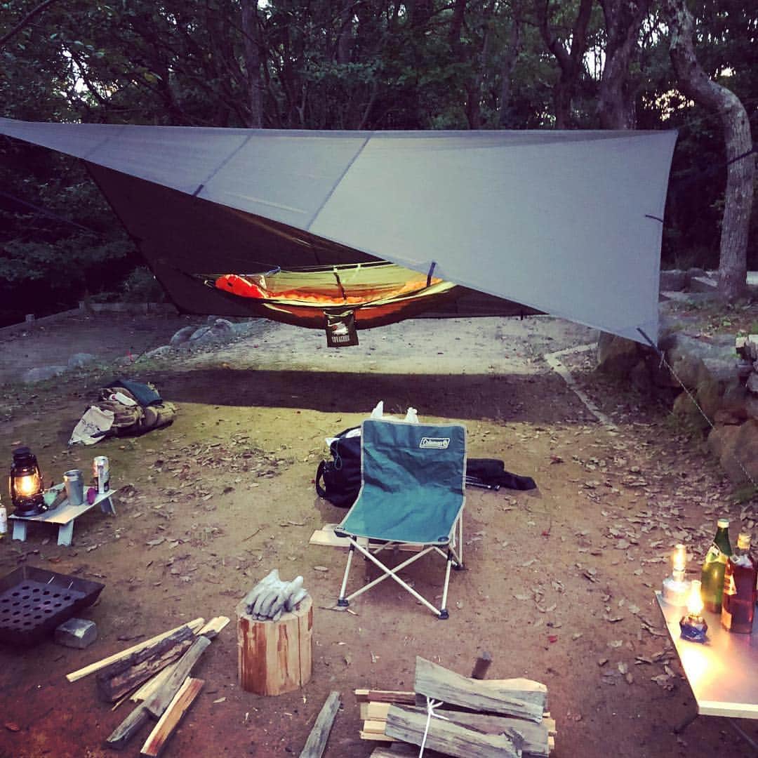 松岡卓弥のインスタグラム：「週末キャンプ行ってきました。 ddタープと安物のハンモック泊です。 焚き火とノクターンとジョニーウォーカーで語り明かしました。いい夜でした。 キャンプあるある。 今から言うよ。 ↓ ↓ ↓ ↓ ↓ 連泊したいといいがち。 ＊ ＊ ＊ ＊ #ddタープ#ハンモック泊#ノクターン#ルミエール#ジョニーウォーカー#バックパックキャンプ」