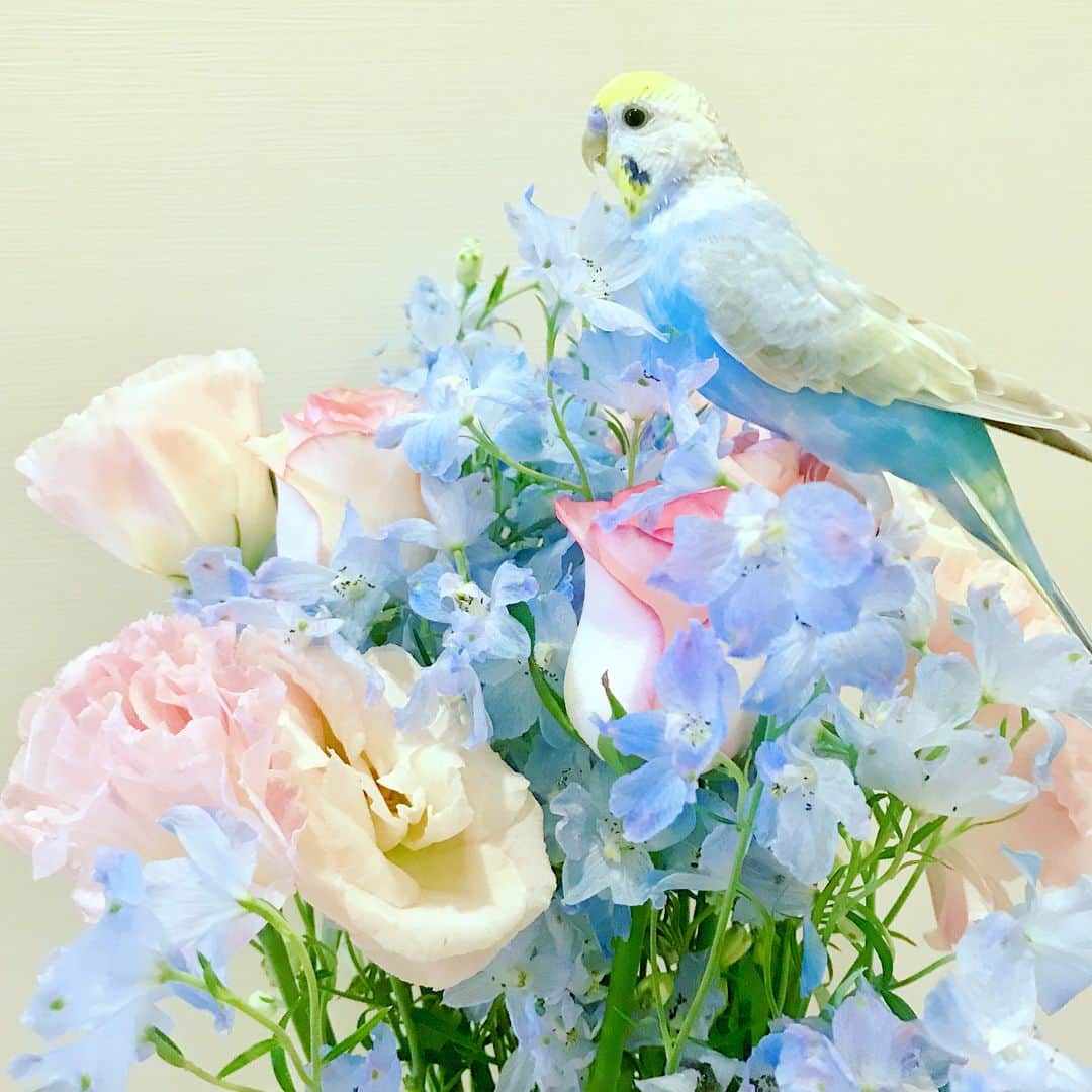鷲見玲奈のインスタグラム