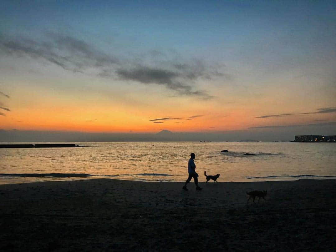 高松いくさんのインスタグラム写真 - (高松いくInstagram)「ありがとう。 一色海岸  #今日の #一色海岸 #sunset #sea #beach #isshiki #hayama #葉山 #犬 #散歩 #富士山 #fujimountain #dog #海 #夕焼け」9月16日 22時10分 - iku_takamatsu_trip_sup_yoga