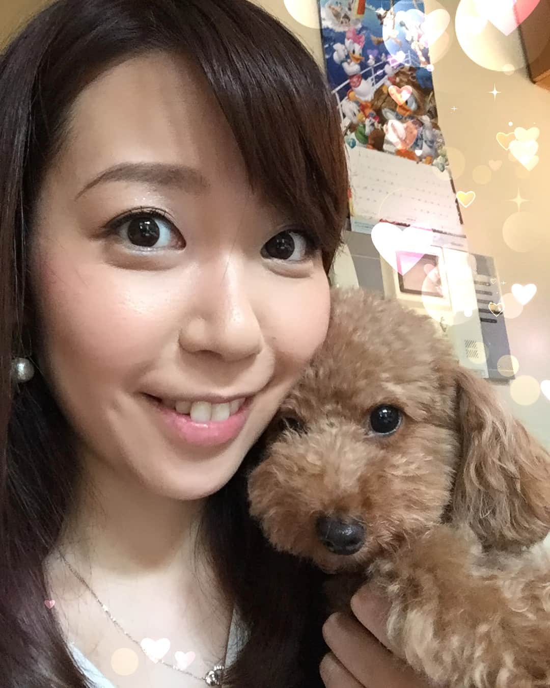 須黒清華のインスタグラム：「あ〜可愛い💕 少しずつ、写真に慣れてきました😋 カメラ目線、出来てる‼︎ . さて、この後22:54からはBSジャパンで「田村淳のBUSINESS BASIC」です🎶 #愛犬 #保護犬 #トイプードル #3歳 #田村淳のbusinessbasic #bsジャパン」