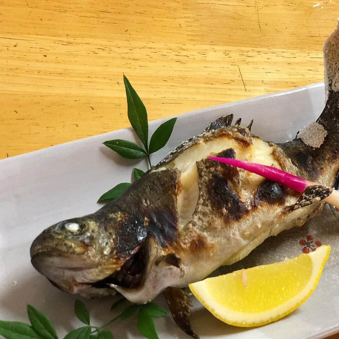 阪本智子さんのインスタグラム写真 - (阪本智子Instagram)「💋♡ あの後.. 釣れたニジマスが泥に飛び込み、 その跳ね返りでこんなことに😂💦笑 #キス顔 😗❌ #泥んこ顔 🤭⭕ スパルタンレースを思い出す🤣🏋🏼‍♀️笑笑 ✩ ニジマスが美味しかったから良しとしよう( ¨̮ )💕 ✩ #fish #fishing #rainbowtrout #trout #areatrout #fishpond #kiss #mud #food #cooking #washoku #낚시 #낚시터 #물고기 #무지개송어 #魚 #ニジマス #釣り #釣り堀 #アウトドア派 #アウトドア女子 #泥 #泥パック #ニジマスは持ち帰って料理したよ #ニジマス定食 #阪本智子」9月17日 8時27分 - tomoko_sakamoto423