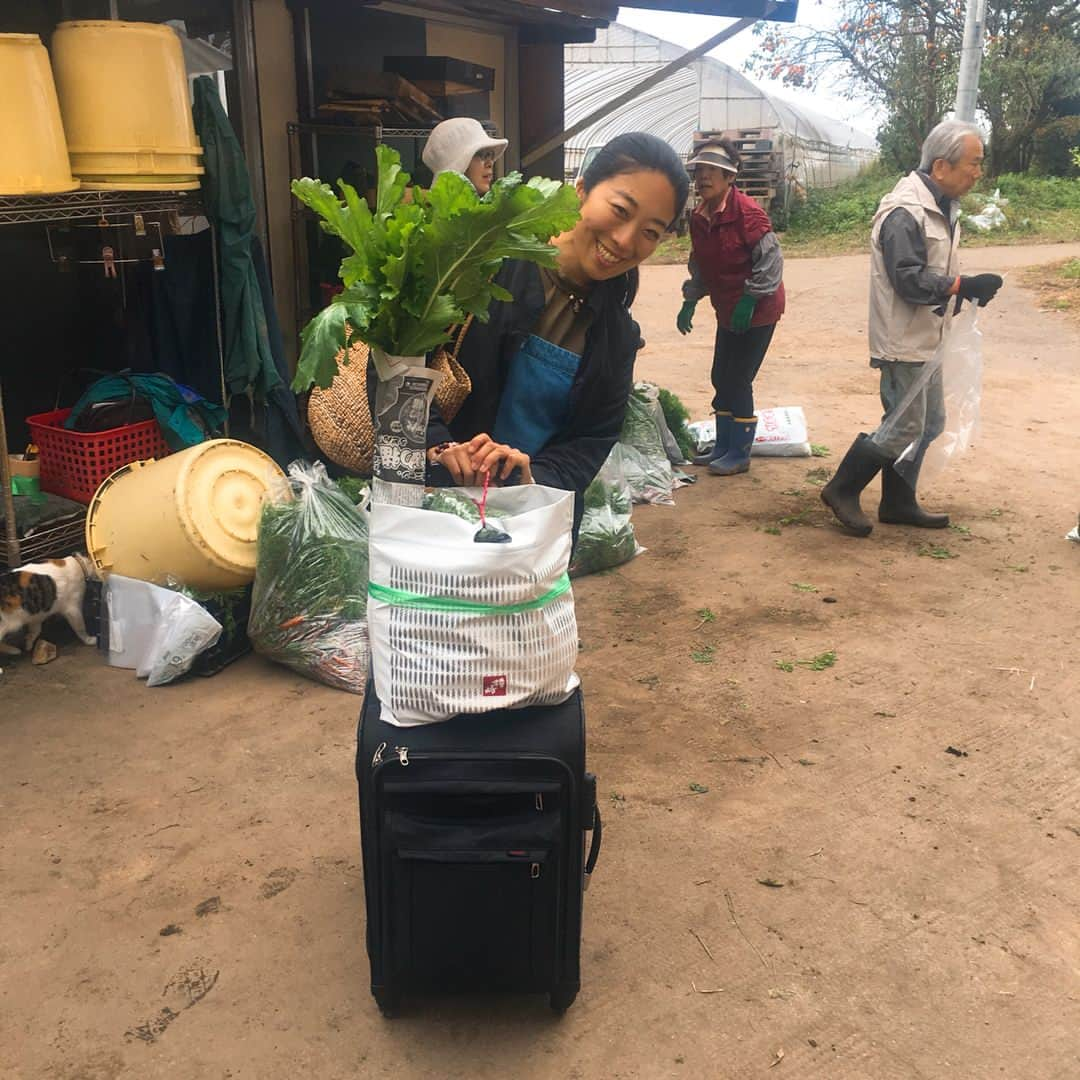 今村沙緒里さんのインスタグラム写真 - (今村沙緒里Instagram)「ファームメンバー☺︎ 無農薬の水口農園へ 今年もファームステイ🥕 いつも、本当に、あたたかい。 無農薬の食べ物は、 手間がかかり、とても大変ですが、 なにより病気知らずです。 そして、おいしい！！ 本当に大切なものを、大切にしたい。 Our farm member！ Agriculture is healthy for human and earth🌏 ・ #Japan #nature #farm #vegetables #agriculture #pesticidefree #work #love #친구 #가족 #자연 #사랑해 #日本 #農業 #無農薬 #ファームステイ #水口農園 #仲間 #親戚感 #幸せ #美月ちゃん #アサカありがとう♡」10月16日 9時24分 - saorix13