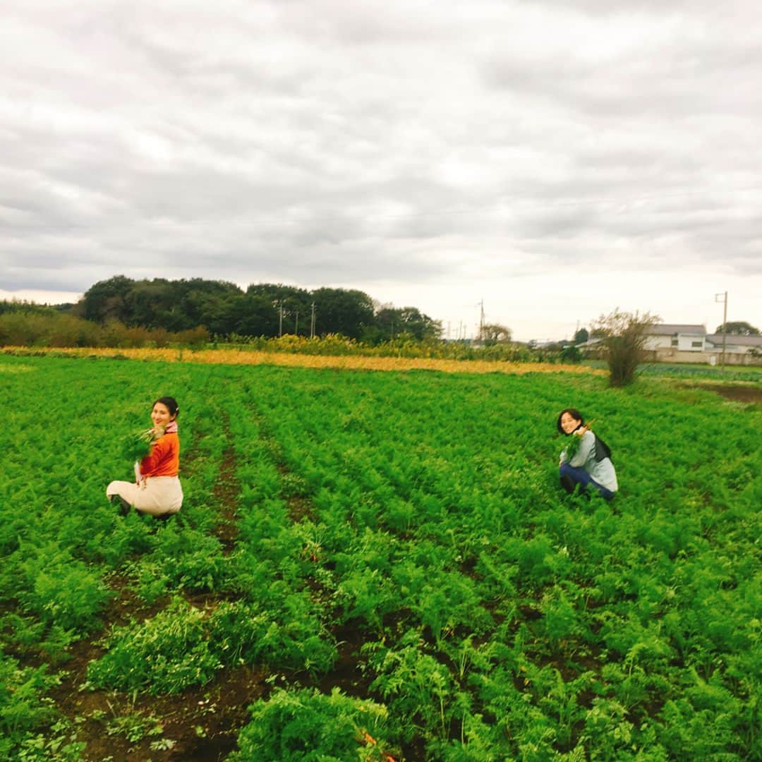 今村沙緒里さんのインスタグラム写真 - (今村沙緒里Instagram)「ファームメンバー☺︎ 無農薬の水口農園へ 今年もファームステイ🥕 いつも、本当に、あたたかい。 無農薬の食べ物は、 手間がかかり、とても大変ですが、 なにより病気知らずです。 そして、おいしい！！ 本当に大切なものを、大切にしたい。 Our farm member！ Agriculture is healthy for human and earth🌏 ・ #Japan #nature #farm #vegetables #agriculture #pesticidefree #work #love #친구 #가족 #자연 #사랑해 #日本 #農業 #無農薬 #ファームステイ #水口農園 #仲間 #親戚感 #幸せ #美月ちゃん #アサカありがとう♡」10月16日 9時24分 - saorix13