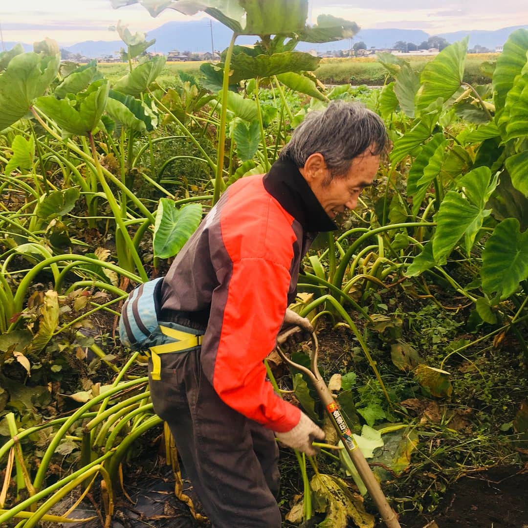 今村沙緒里さんのインスタグラム写真 - (今村沙緒里Instagram)「ファームメンバー☺︎ 無農薬の水口農園へ 今年もファームステイ🥕 いつも、本当に、あたたかい。 無農薬の食べ物は、 手間がかかり、とても大変ですが、 なにより病気知らずです。 そして、おいしい！！ 本当に大切なものを、大切にしたい。 Our farm member！ Agriculture is healthy for human and earth🌏 ・ #Japan #nature #farm #vegetables #agriculture #pesticidefree #work #love #친구 #가족 #자연 #사랑해 #日本 #農業 #無農薬 #ファームステイ #水口農園 #仲間 #親戚感 #幸せ #美月ちゃん #アサカありがとう♡」10月16日 9時24分 - saorix13