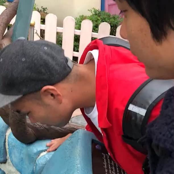加瀬部駿介（フレンチぶる）のインスタグラム：「ディズニーランド行ってきました。 みんなの分もお願いしときました。 知らない女の子が投げたお賽銭でお願いしてました。  #フレンチぶる  #ディズニーランド  #ミニーの家  #どんな乗り物よりトゥーンタウンがおもしろい」