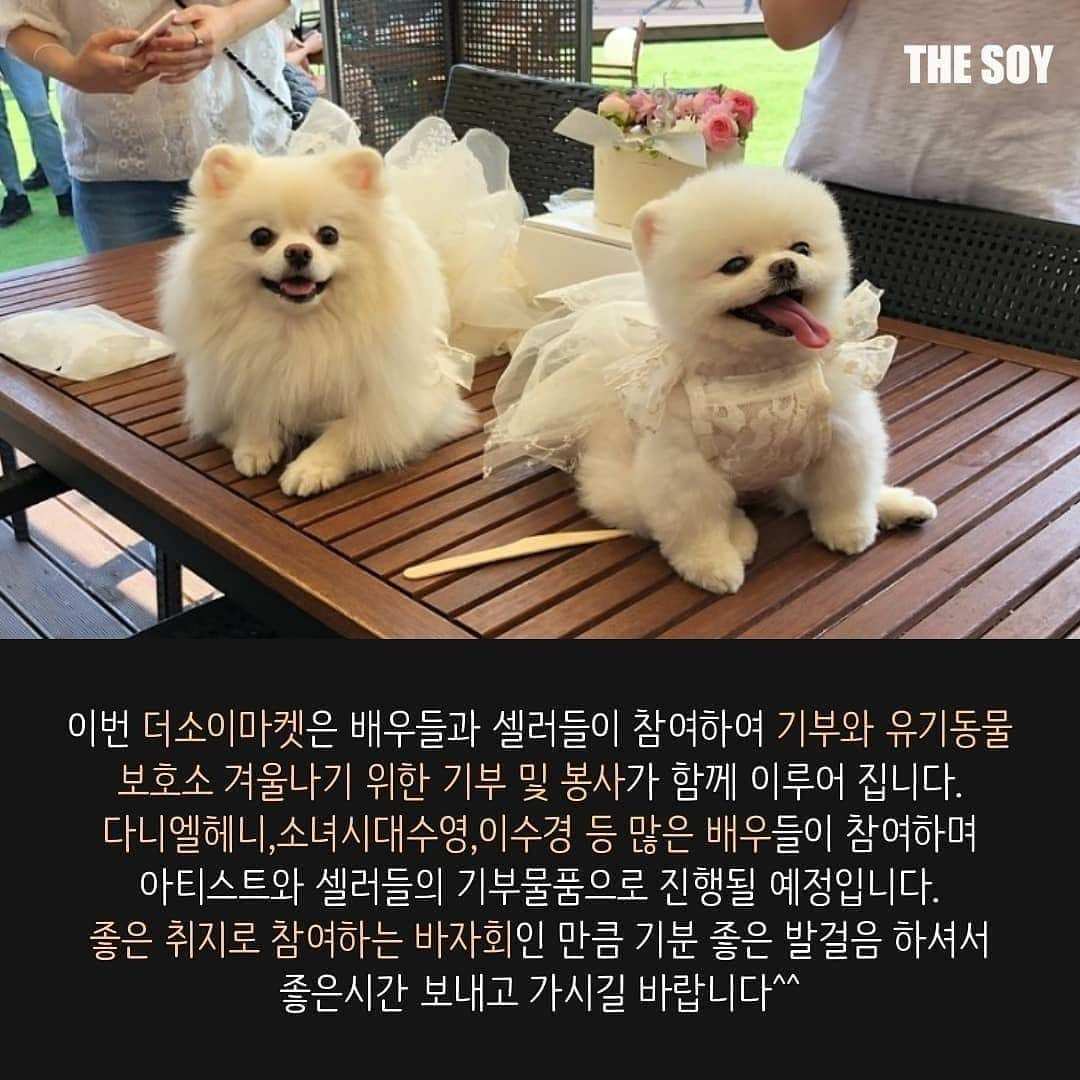 thesoy_yoonsoのインスタグラム