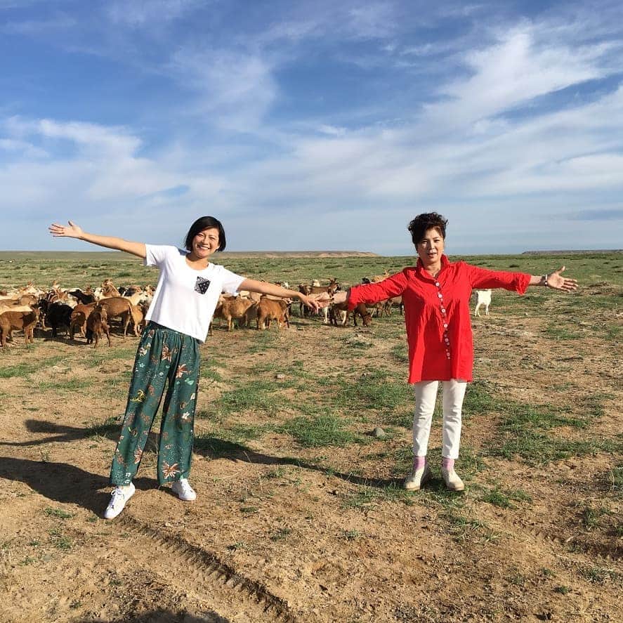 TBS「世界ふしぎ発見！」さんのインスタグラム写真 - (TBS「世界ふしぎ発見！」Instagram)「10月13日の世界ふしぎ発見！は、 #モンゴル  八代亜紀さんがモンゴルの絶景で魂の歌を捧げます‼️ 首都 #ウランバートル には、近代的なビルも立ち並び 若者に人気のスイーツも❗ …映えてますか？  #ふしぎ発見 #モンゴル大草原 #魂の歌 #モンゴル相撲 #ミステリーハンター  #宮地眞理子  #八代亜紀さんもミステリーハンター」10月12日 17時59分 - fushigi_hakkenad