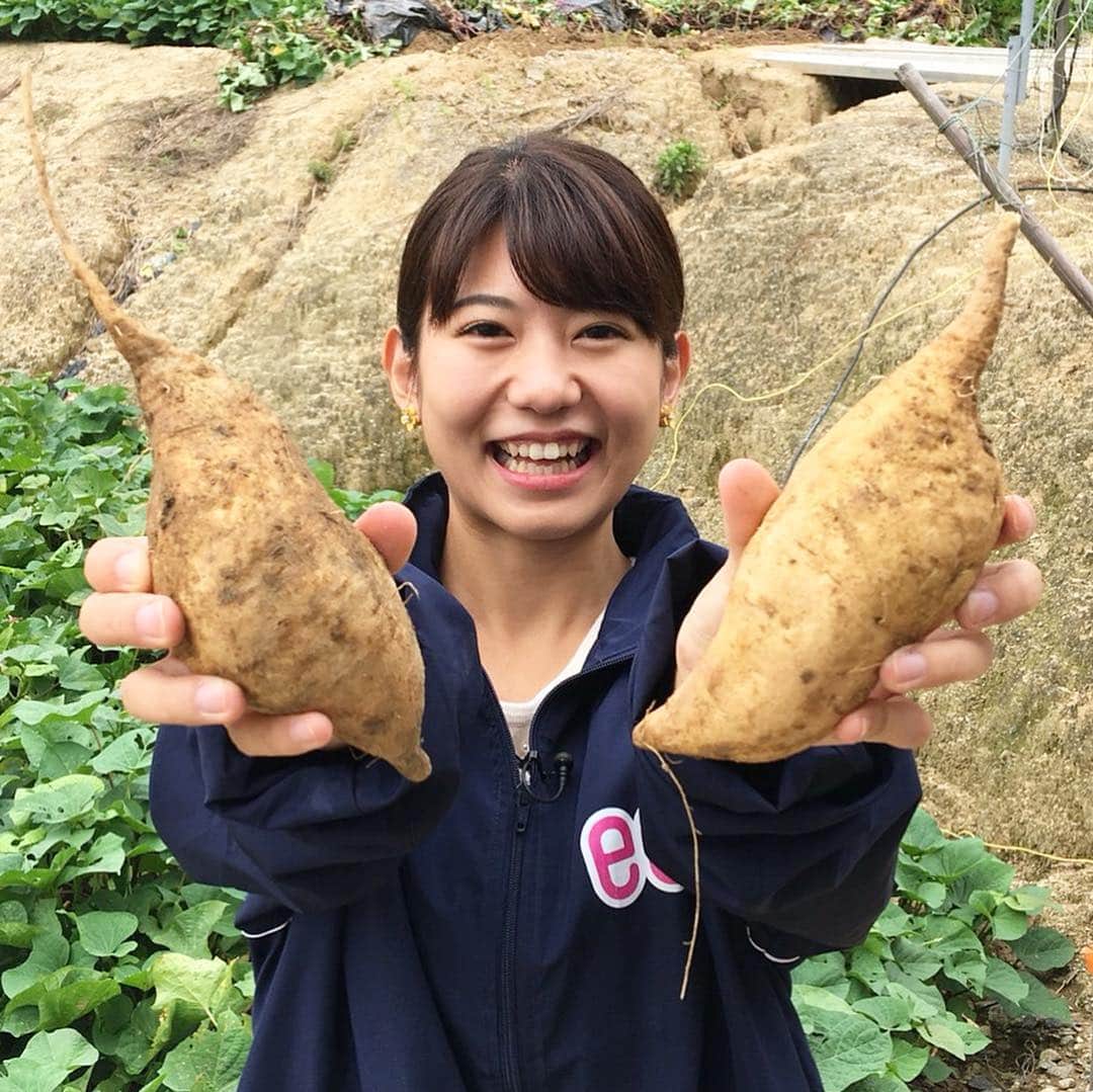 愛媛朝日テレビ アナウンサーさんのインスタグラム写真 愛媛朝日テレビ アナウンサーinstagram Eatアナウンサーの市脇康平です 今治にてロケ 昭和レトロを探してきました 何をしても絵になるフルビオさんです 今週27日 土 夕方5時 ちかくナルナル
