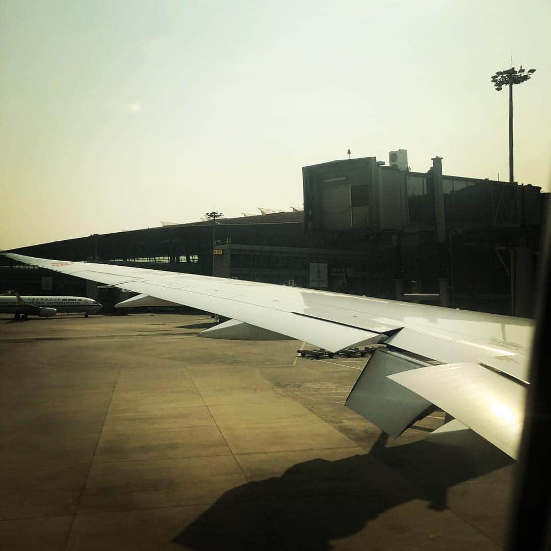 紀里谷和明のインスタグラム：「Going to Shanghai.  The Autumn in Beijing was beautiful.  I always loved the city.  Something about it makes me calm and in a way nostalgic.」