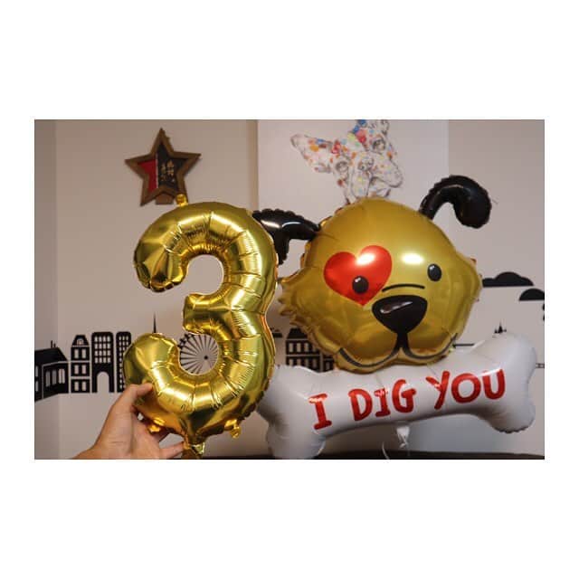 RENA（久保田玲奈）さんのインスタグラム写真 - (RENA（久保田玲奈）Instagram)「‪10.11 おはぎ3歳のお誕生日でした❤️‬ ‪ちっちゃくて可愛いけど‬ ‪ツンデレで気の強いおはぎ姐さん。‬ ‪大好きだよ💓 これからもよろしくね💓‬ みたらしのほっぺた噛むのは 優しくしてあげてね笑笑 ‪10.11 Happy birthday❤️OHAGI 3th‬ ‪#おはぎ #みたらし #フレンチブルドッグ #フレブル #鼻ぺちゃ‬」10月12日 16時21分 - sb_rena