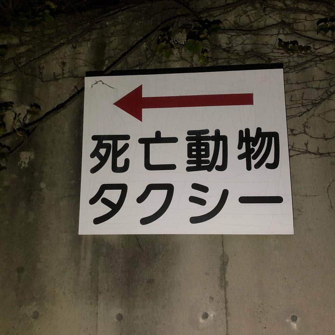 松原タニシさんのインスタグラム写真 - (松原タニシInstagram)「死亡動物タクシー #死亡動物 #タクシー #←」10月13日 2時51分 - tanishi_m